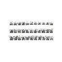 305-2.webp